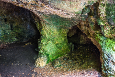 波兰兹罗提波托克西莱西亚帕科自然保护区熊洞照片
