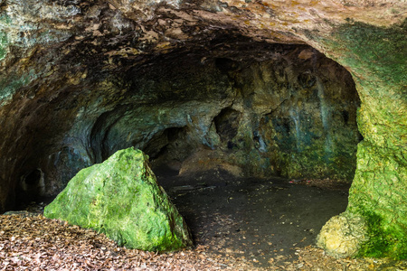 波兰兹罗提波托克西莱西亚帕科自然保护区熊洞