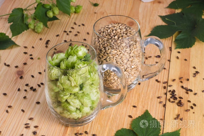 啤酒花和淡焦糖麦芽在玻璃杯特写谷物大麦麦芽酿造工艺啤酒中的成分