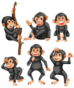 白色背景插图上的一套猿猴