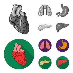 心肺胃胰人体器官集合图标单色, 平面式矢量符号股票插画网