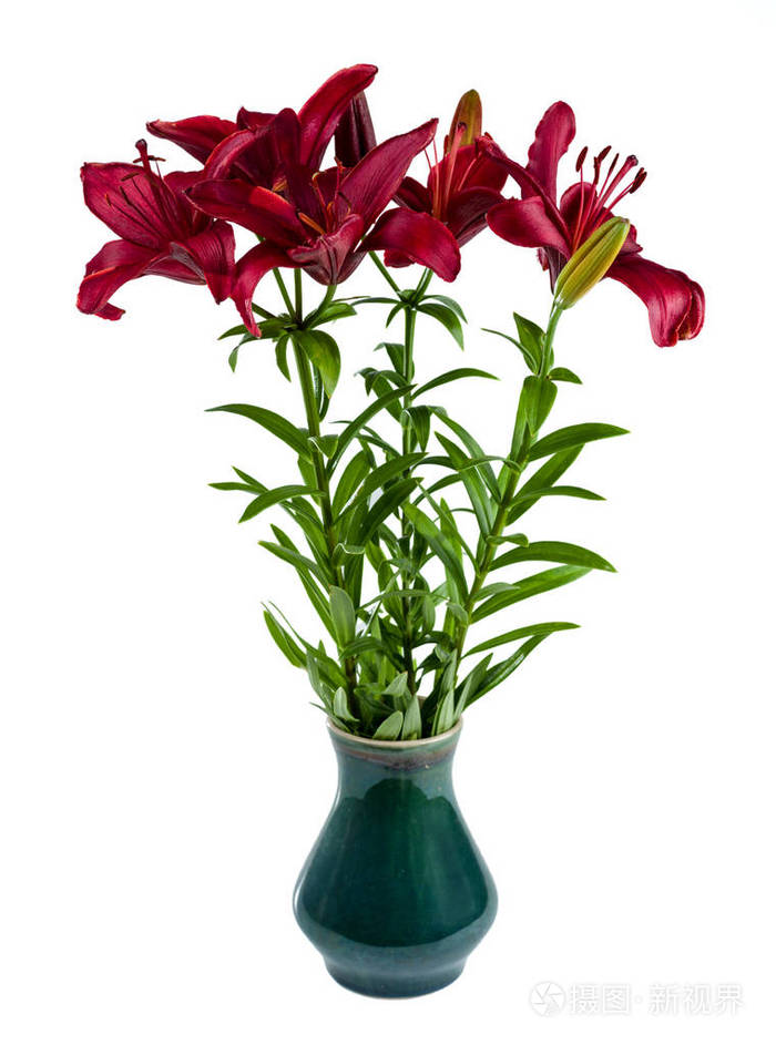 花瓶里的一束红日百合花孤立在白色背景上