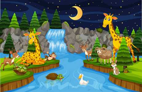 动物在瀑布夜景插图
