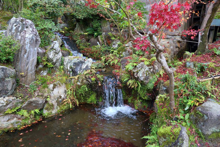 日本秋季花园日本纳拉岛的伊森花园。 秋天的树叶。