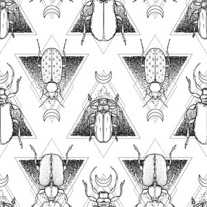 黑白甲虫在神圣的几何隔离矢量插图。 无缝图案。 神秘的符号和昆虫。 炼金术宗教神秘主义灵性。 手绘古董。