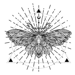 黑白蝴蝶在神圣的几何标志上孤立的矢量插图。 纹身素描。 神秘的符号和昆虫。 炼金术神秘灵性着色书。 手绘古董。