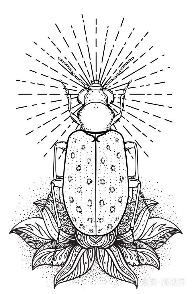 纹身素描. 神秘的符号和昆虫. 炼金术宗教神秘灵性着色书. 手绘古董.