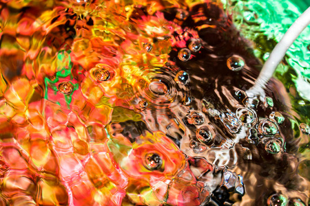 水族馆里的水生植物气泡透明，背景颜色鲜艳