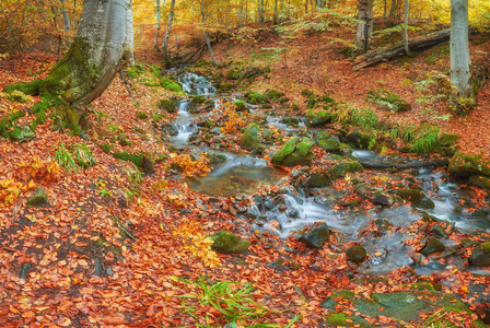 秋天的快速山河。 彩色木材背景