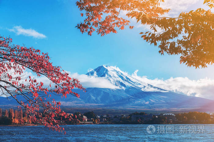 日本富士山五彩秋 是日本最好的欣赏富士山风景的地方之一 枫叶变色 给人以这些树叶的形象构成富士山 照片 正版商用图片12l2i3 摄图新视界