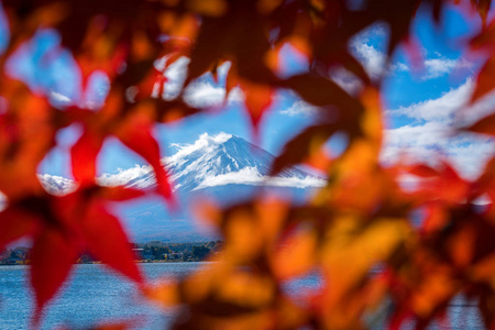 日本富士山五彩秋，是日本最好的欣赏富士山风景的地方之一，枫叶变色，给人以这些树叶的形象构成富士山。