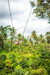在热带巴厘岛的丛林雨林里荡秋千的年轻旅游女子
