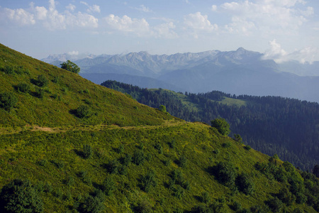 副手德鲁日巴高原夏季高山滑雪胜地景观, 索契, 俄罗斯。高加索山脉背景下的高山草甸特写