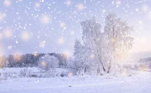 冬天自然风景与雪花。霜在树上。寒冷严寒的冬天。圣诞节和新年背景。平静的冬天场面