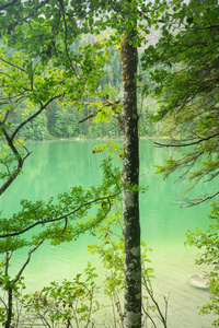 奥地利美丽的湖泊，奥地利的Gleinkersee。