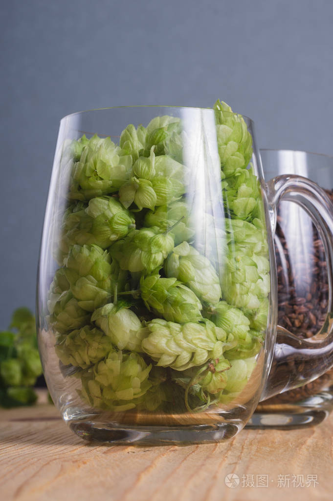 啤酒花麦芽锥在玻璃杯特写. 谷物大麦麦芽酿造工艺啤酒中的成分.