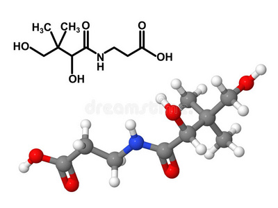 化学式维生素b5分子