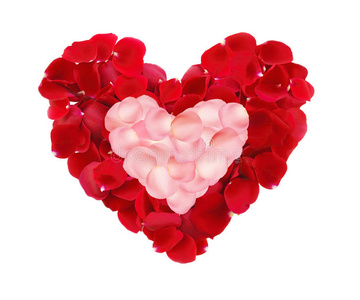 美丽的心形，红色和粉红色的玫瑰花瓣，白色的