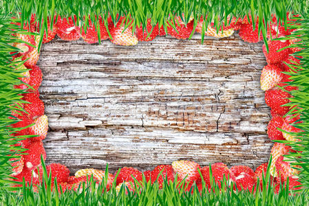 草莓草木架图片