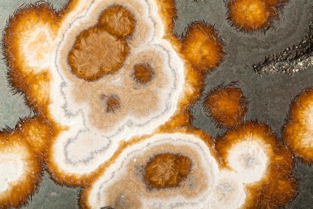 黑色泥炭泥炭质钡长石照片