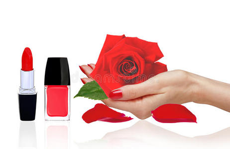 玫瑰在女人手上，红色指甲油和唇膏隔离