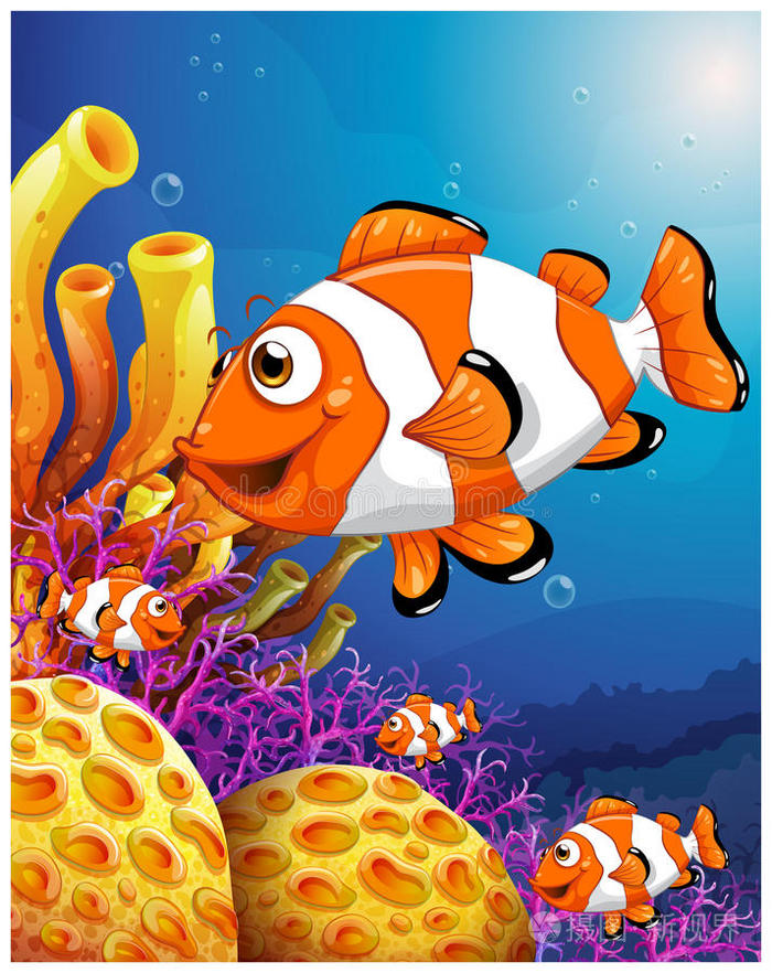 美丽的珊瑚礁附近的一群鱼
