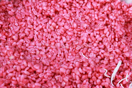 玉米煮熟变金黄图片