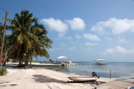 伯利兹caye caulker