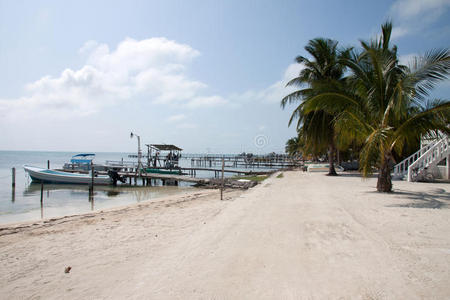 伯利兹caye caulker