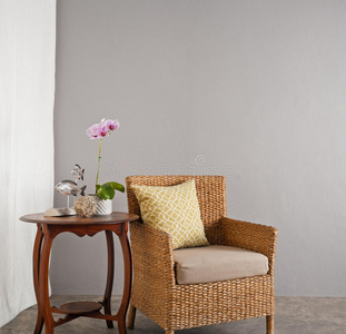 篮子 活的 垫子 扶手椅 酒店 椅子 公寓 美丽的 织物