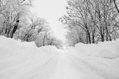 雪冬路