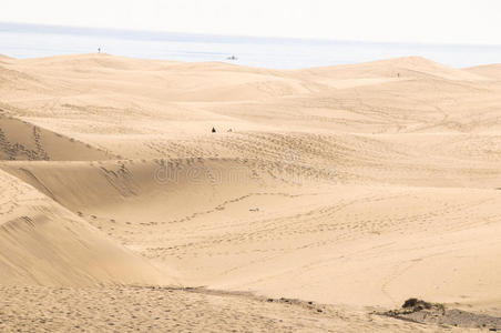沙丘沙漠