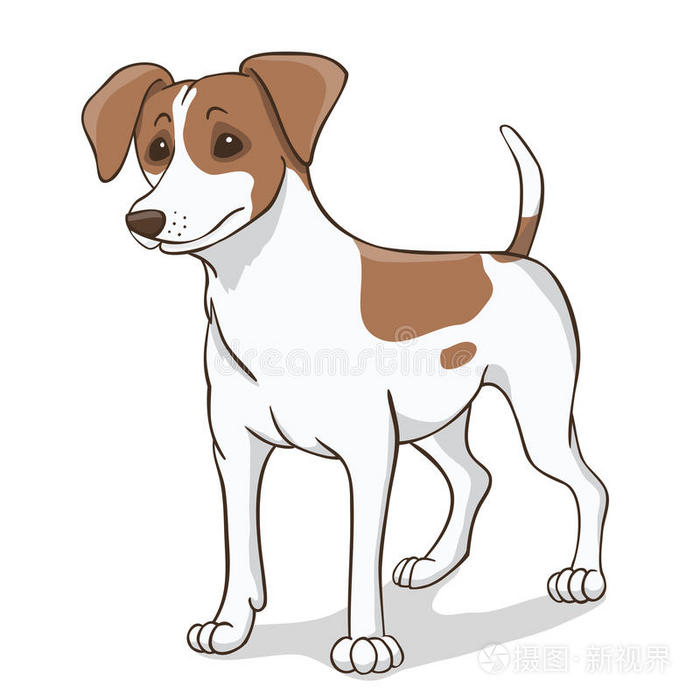 毛茸茸的 可爱的 幼犬 猎犬 哺乳动物 艺术 呜呜 拉塞尔