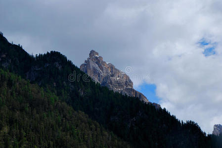 高山与森林