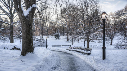 暴风雪过后的中央公园