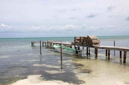 伯利兹caye caulker