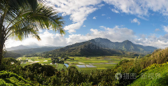 从普林斯维尔俯瞰考艾岛的哈纳雷山谷