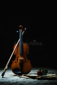 小提琴乐谱与玫瑰图片
