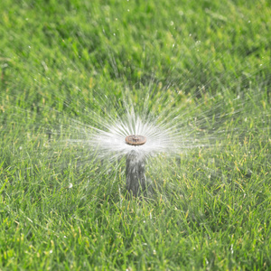 自动喷水器