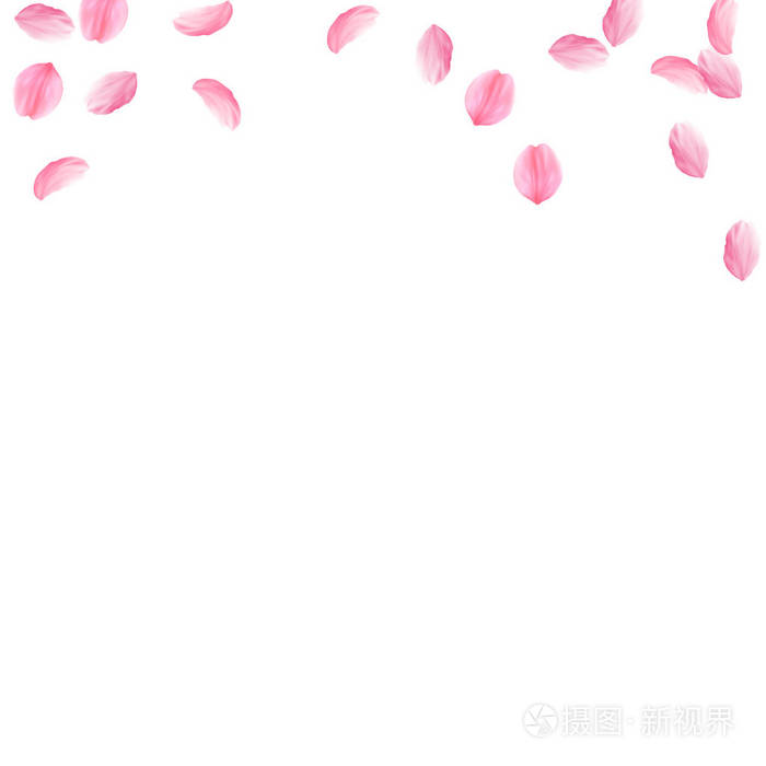 樱花花瓣落下浪漫的粉红色丝质中花稀疏的飞樱瓣广场