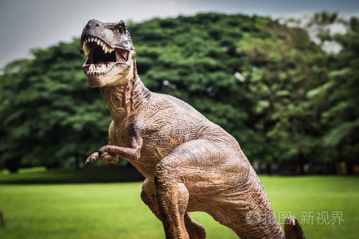 恐龙trex与树枝对抗的自然