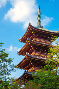 日本东京上野公园金鸡寺五座圣塔照片 正版商用图片12phxi 摄图新视界 日本东京上野公园金鸡寺五座圣塔照片 正版商用图片12phxi 摄图新视界