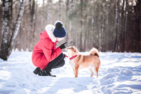 石坝种狗与一个女孩玩耍，一个女孩训练一只狗在一个美丽的冬季森林背景。