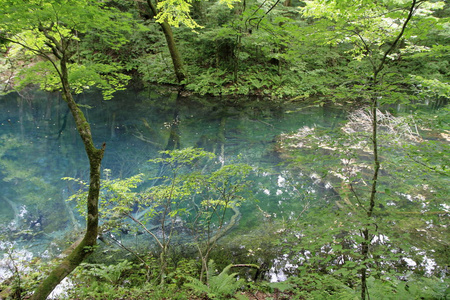白神山地图片 白神山地素材 白神山地插画 摄图新视界