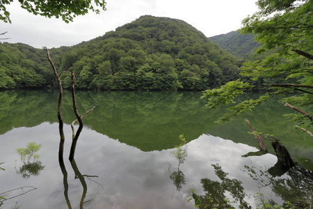 日本青森三池Ketoba池塘