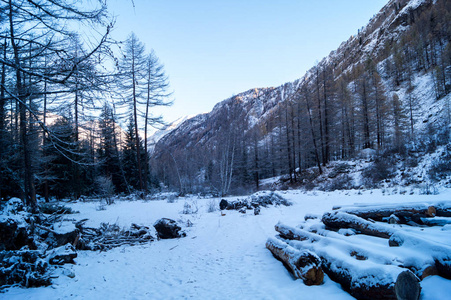 雪中的山景