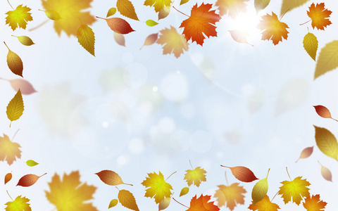 秋天，花闪闪发亮，装饰着黄色的叶子和灯光