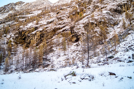 雪中的山景