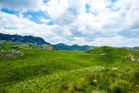 黑山杜米特里马塞夫的青山和多云的天空