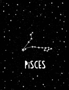 天文学的生肖标志图标矢量在黑色背景上的双鱼座十二生肖圆灰色双鱼座